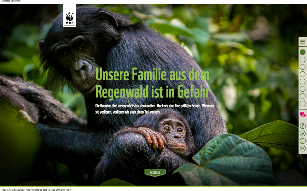 Die Bonobos sind in Gefahr! - WWF Deutschland