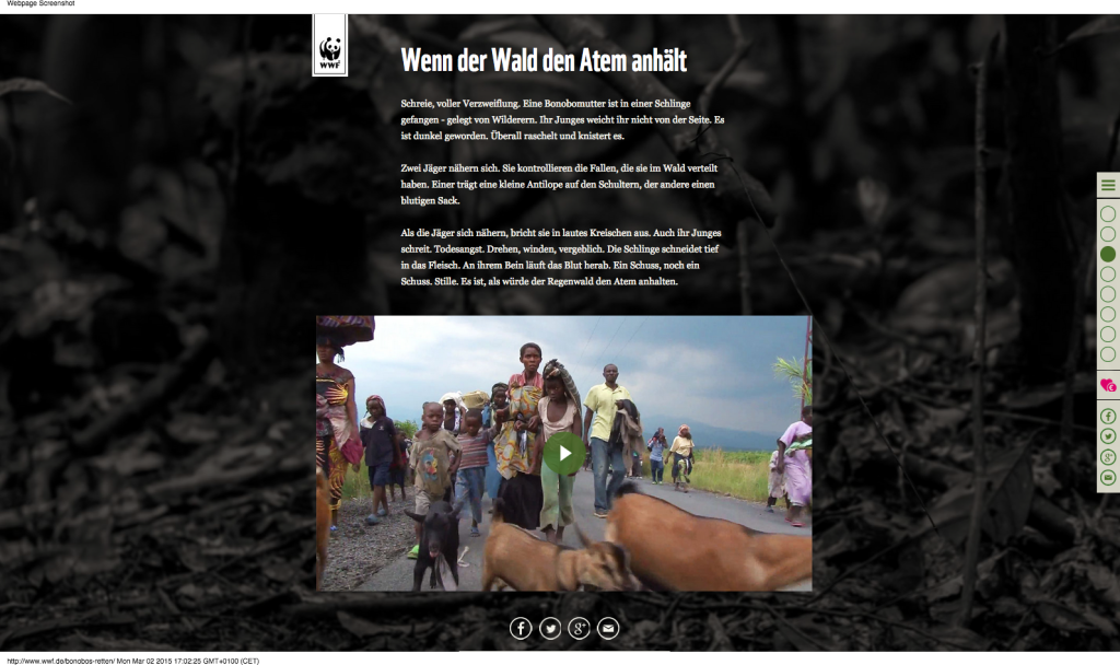 Die Bonobos sind in Gefahr! - WWF Deutschland Kopie 2
